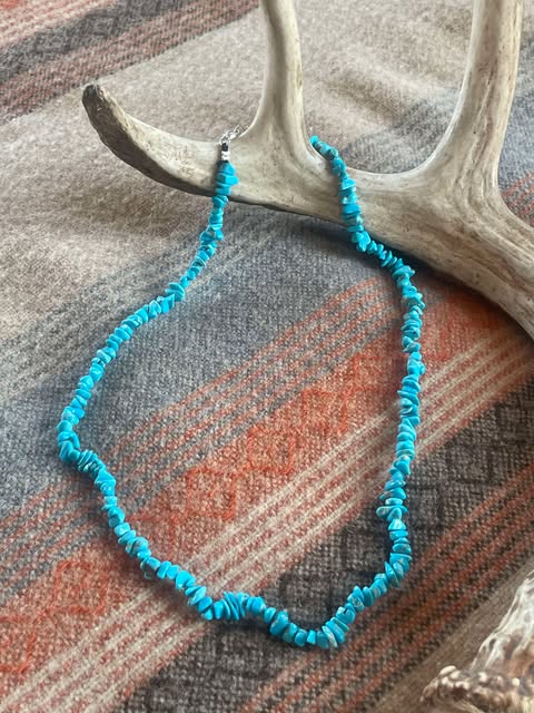 Turquoise Chip Bead Necklace